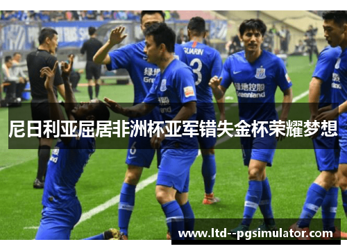 尼日利亚屈居非洲杯亚军错失金杯荣耀梦想